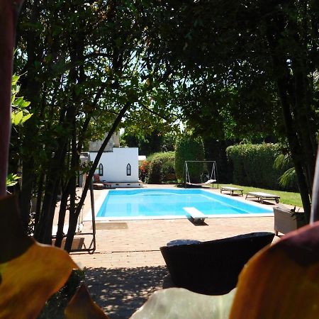 Appartamento Con Piscina Immersa Nel Verde 키쉬나 외부 사진