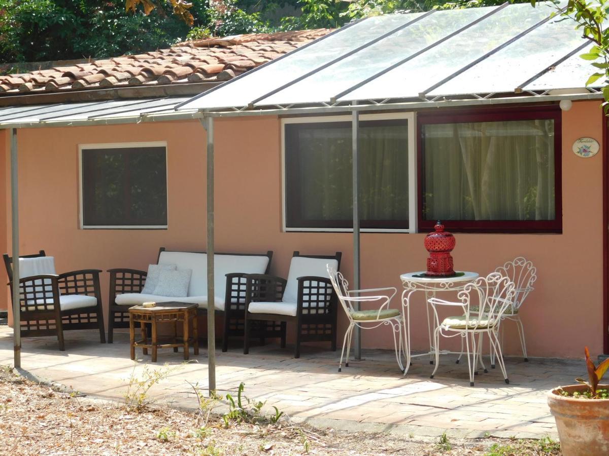 Appartamento Con Piscina Immersa Nel Verde 키쉬나 외부 사진