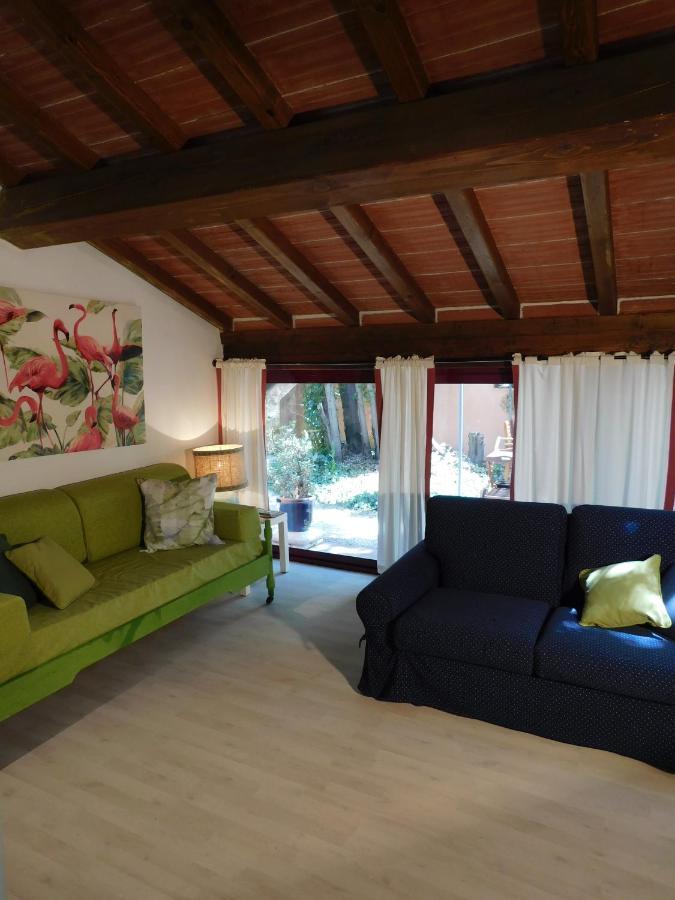 Appartamento Con Piscina Immersa Nel Verde 키쉬나 외부 사진