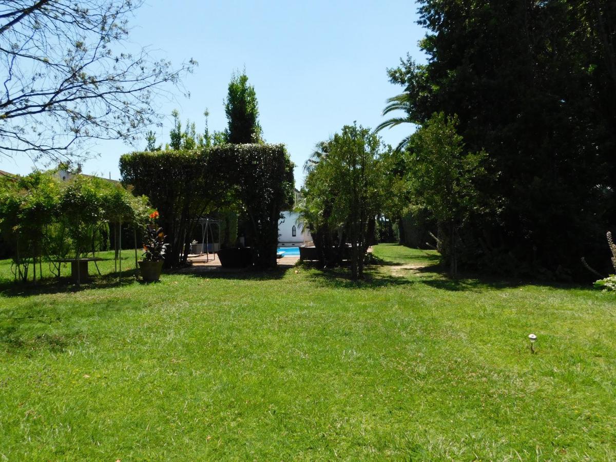 Appartamento Con Piscina Immersa Nel Verde 키쉬나 외부 사진